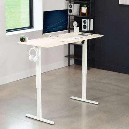 Premium 55" x 24" Adjustable Electric Standing Desk