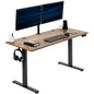 Premium 55" x 24" Adjustable Electric Standing Desk