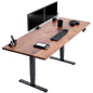 Stylish Solid Walnut & Black Electric Standing Desk - 71" x 30