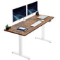 Spacious 60" x 24" Electric Standing Desk with Convenient 2-Button Controller